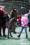 Выставка собак в Туле 24.11, Фото: 136