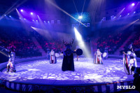 Цирковое шоу Жар птица, Фото: 109