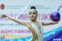 Тула провела крупный турнир по художественной гимнастике, Фото: 159