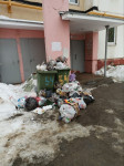 «Подъздные пути расчистили, а мусор не убирают»: жители улицы Некрасова жалуются на работу «Хартии» , Фото: 6