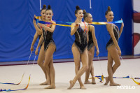 В Туле стартовало первенство Центрального федерального округа по художественной гимнастике, Фото: 59