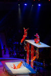 Успейте посмотреть шоу «Новогодние приключения домовенка Кузи» в Тульском цирке, Фото: 82