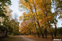Золотая осень по-тульски, Фото: 13