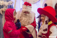 В Туле открылась резиденция Деда Мороза, Фото: 60