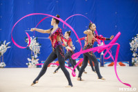 Соревнования по художественной гимнастике на призы благотворительного фонда «Земляки», Фото: 182