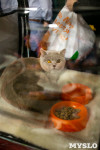 Пряничные кошки, Фото: 51