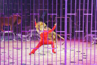 Премьера в Тульском цирке: шоу фонтанов «13 месяцев» удивит вас!, Фото: 20