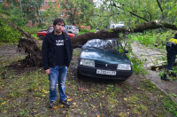 На автомобиль упало дерево, Фото: 10