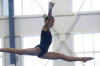 Всероссийские соревнования по спортивной гимнастике, Фото: 58