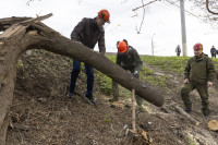 Миляев субботник , Фото: 27