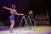"Легенда": в тульском цирке – новая программа, Фото: 13