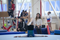 Всероссийские соревнования по спортивной гимнастике, Фото: 71