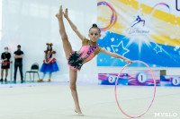 Тула провела крупный турнир по художественной гимнастике, Фото: 102