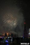 Открытие главной ёлки на площади Ленина, Фото: 51
