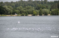 По реке Воронке проплыли «кораблики памяти», Фото: 7