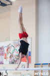 Мужская спортивная гимнастика в Туле, Фото: 18