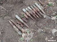 В Ленинском дети нашли 14 зенитных снарядов, Фото: 1