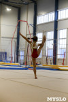 Спортивная гимнастика в Туле 3.12, Фото: 142