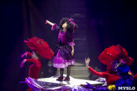 Шоу фонтанов «13 месяцев» в Тульском цирке – подарите себе и близким путевку в сказку!, Фото: 85