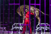 Шоу фонтанов «13 месяцев»: успей увидеть уникальную программу в Тульском цирке, Фото: 226