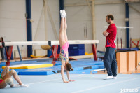 Соревнования по художественной гимнастике, Фото: 29