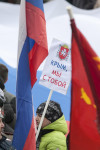В Туле проходит митинг в поддержку Крыма, Фото: 26
