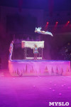 «Чудеса Новогодней Ёлки» ждут вас в Тульском цирке, Фото: 6