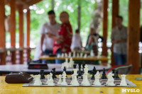 "Большие шахматы" в Центральном парке, Фото: 3