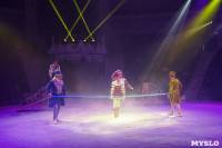 «Чудеса Новогодней Ёлки» ждут вас в Тульском цирке, Фото: 34