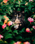 , Фото: 1