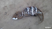 Железный хамелеон тульского умельца, Фото: 16