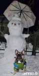 Посмотрите, каких снеговиков лепят туляки!, Фото: 39