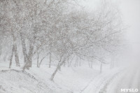 Мартовский снегопад в Туле, Фото: 27