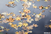 Золотая осень в Ясной Поляне, Фото: 90