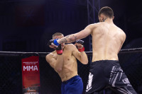 Битва за Тулу-2026, Фото: 144