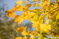 Золотая осень по-тульски, Фото: 68