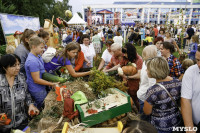 Праздник урожая в Новомосковске, Фото: 65