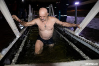 В Центральном парке Тулы прошли крещенские купания, Фото: 132