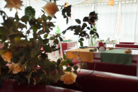 Тульские кафе и рестораны с открытыми верандами, Фото: 9