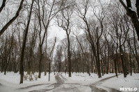 Рогожинский парк, зима 2019, Фото: 4
