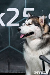 Выставка собак в Туле 26.01, Фото: 42