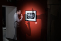 , Фото: 16