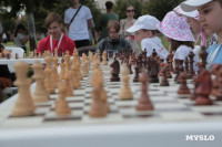 В Тульском кремле состоялся сеанс по одновременной игре в шахматы, Фото: 22