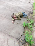 Пьяницы захватили двор пятиэтажек на ул. Металлургов в Туле, Фото: 4