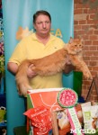 Выставка кошек в Искре, Фото: 70