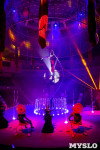 Шоу фонтанов «13 месяцев» в Тульском цирке – подарите себе и близким путевку в сказку!, Фото: 90