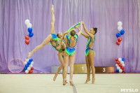 Всероссийские соревнования по художественной гимнастике на призы Посевиной, Фото: 89
