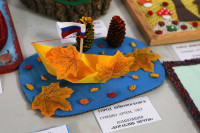 В Туле состоялся фестиваль творчества детей с ограниченными возможностями, Фото: 7