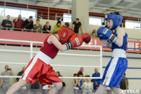 Первенство Тульской области по боксу среди юношей. 23 марта 2017 года, Первомайский, Фото: 38
