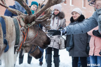 Северное шоу в Туле, Фото: 6